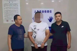 北塔贷款清欠服务